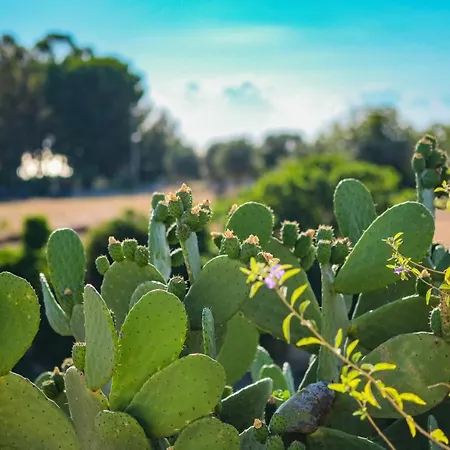 Borgobianco & Polignano - Mgallery Collection פולינאנו א מארה