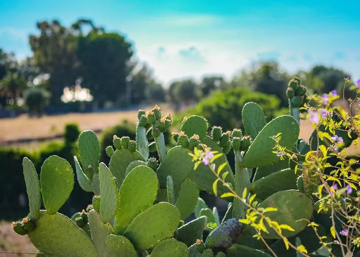 Borgobianco & Polignano - Mgallery Collection Polignano a Mare